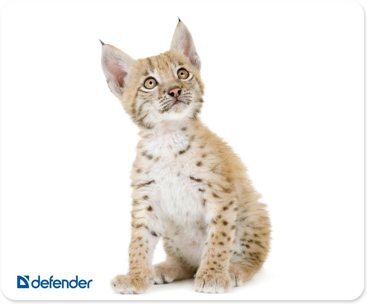 Коврик для мыши Defender Silk (50706), Defender Kоврик для мыши шёлковый, 230x190x3мм
Коврик для мыши Defender Silk (50706), Defender Kоврик для мыши шёлковый, 230x190x3мм