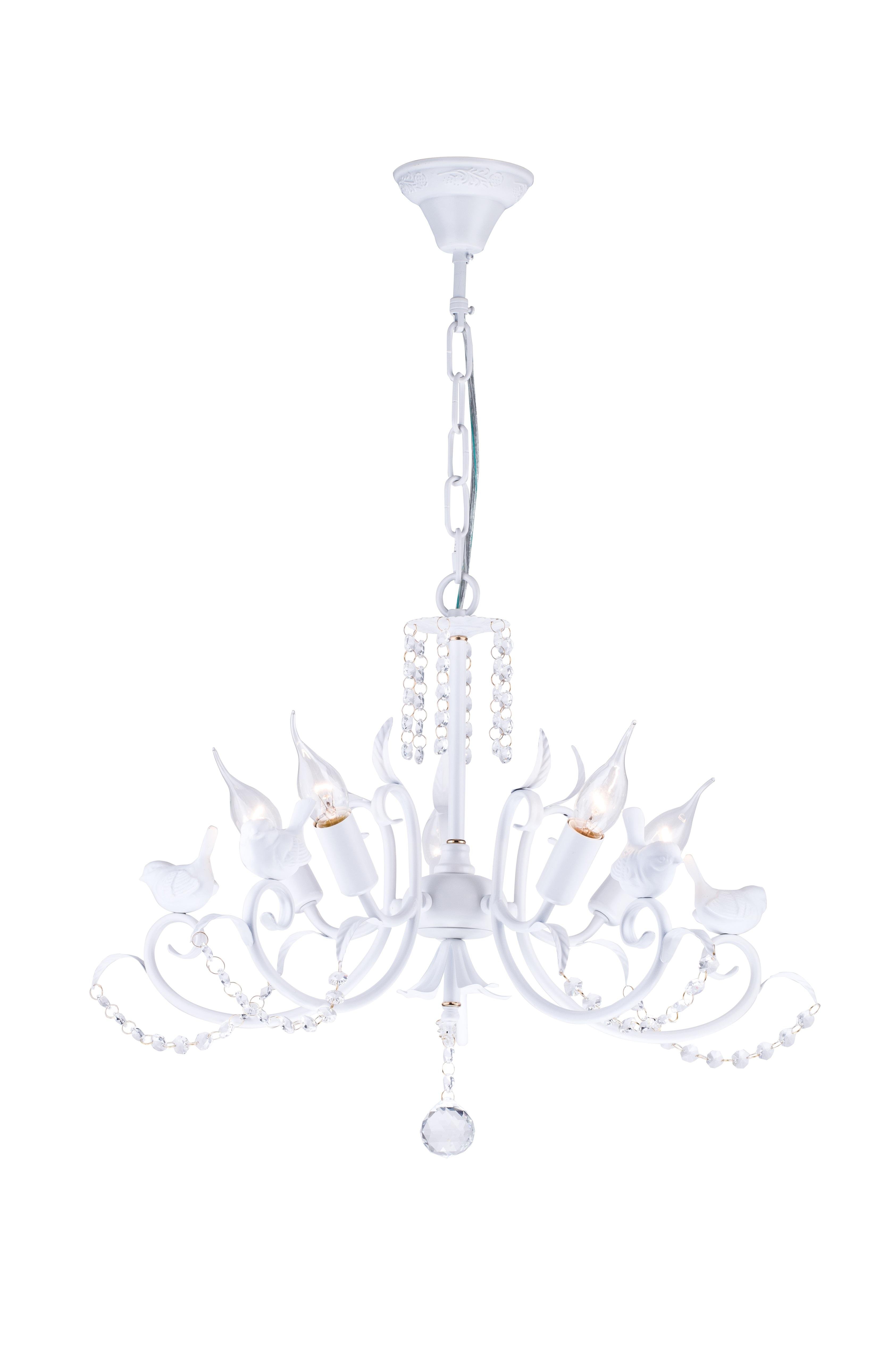 Favourite 1836-5P, 1836-5P
Favourite 1836-5P, 1836-5P