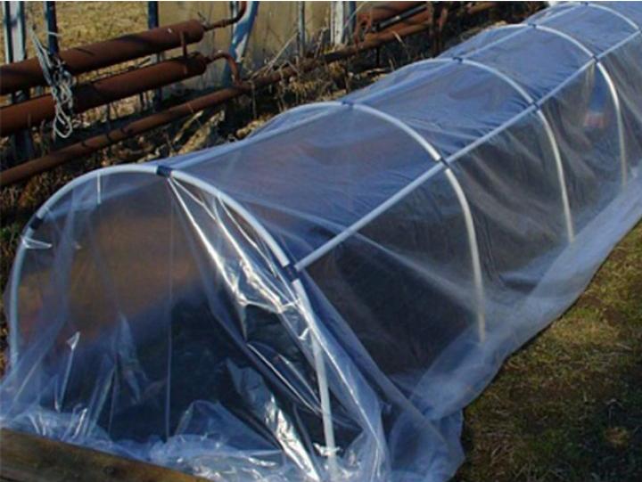 Парник Остров Комфорта Ранний 6 м, Ранний 6м
Парник Остров Комфорта Ранний 6 м, Ранний 6м