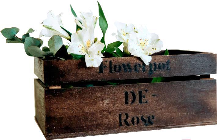 Ящик для хранения Grifeldecor Flowerpot De Rose / BZ171-2С110 (коричневый), Ящик Flowerpot Rose
Ящик для хранения Grifeldecor Flowerpot De Rose / BZ171-2С110 (коричневый), Ящик Flowerpot Rose