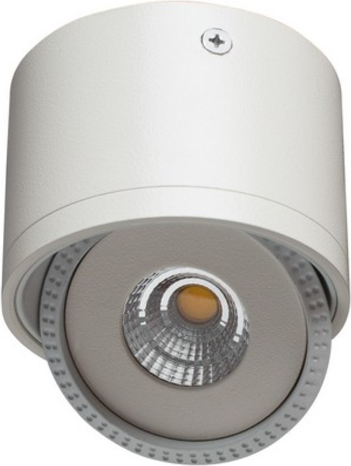 Накладной светильник ARTE Lamp A4105PL-1WH, Накладной точечный светильник Arte Lamp A4105PL-1WH
Накладной светильник ARTE Lamp A4105PL-1WH, Накладной точечный светильник Arte Lamp A4105PL-1WH
