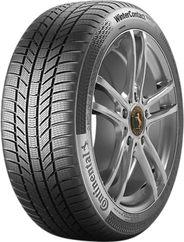 Автомобильные шины Continental WinterContact TS 870 P Continental 245/65R17 111H XL (03558460000)
Автомобильные шины Continental WinterContact TS 870 P Continental 245/65R17 111H XL (03558460000)