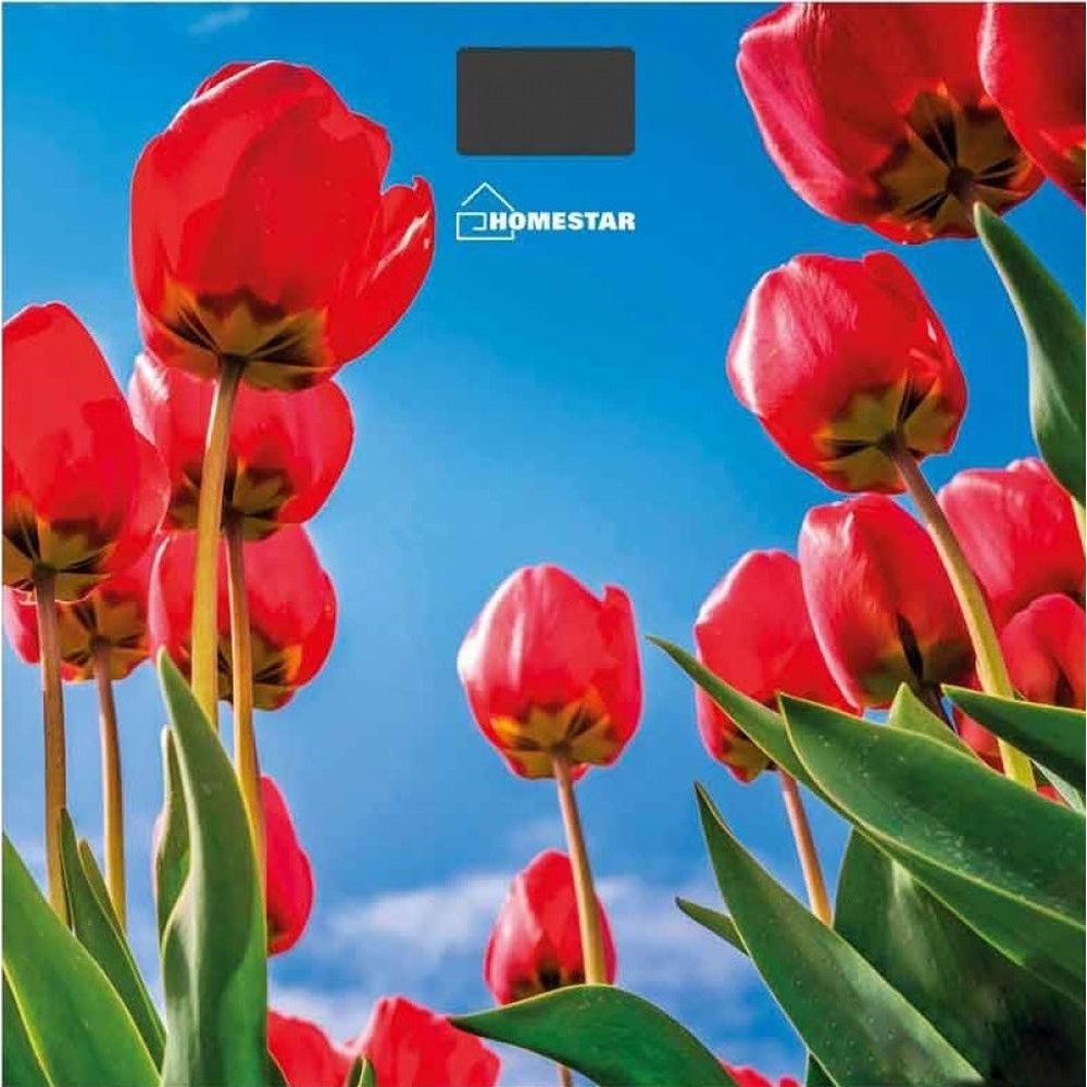 

Напольные весы HomeStar HS-6001I(5187)