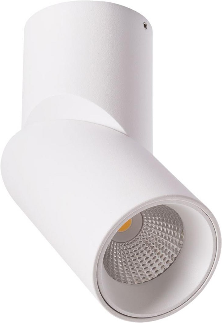 

Накладной точечный светильник Arte Lamp A7717PL-1WH