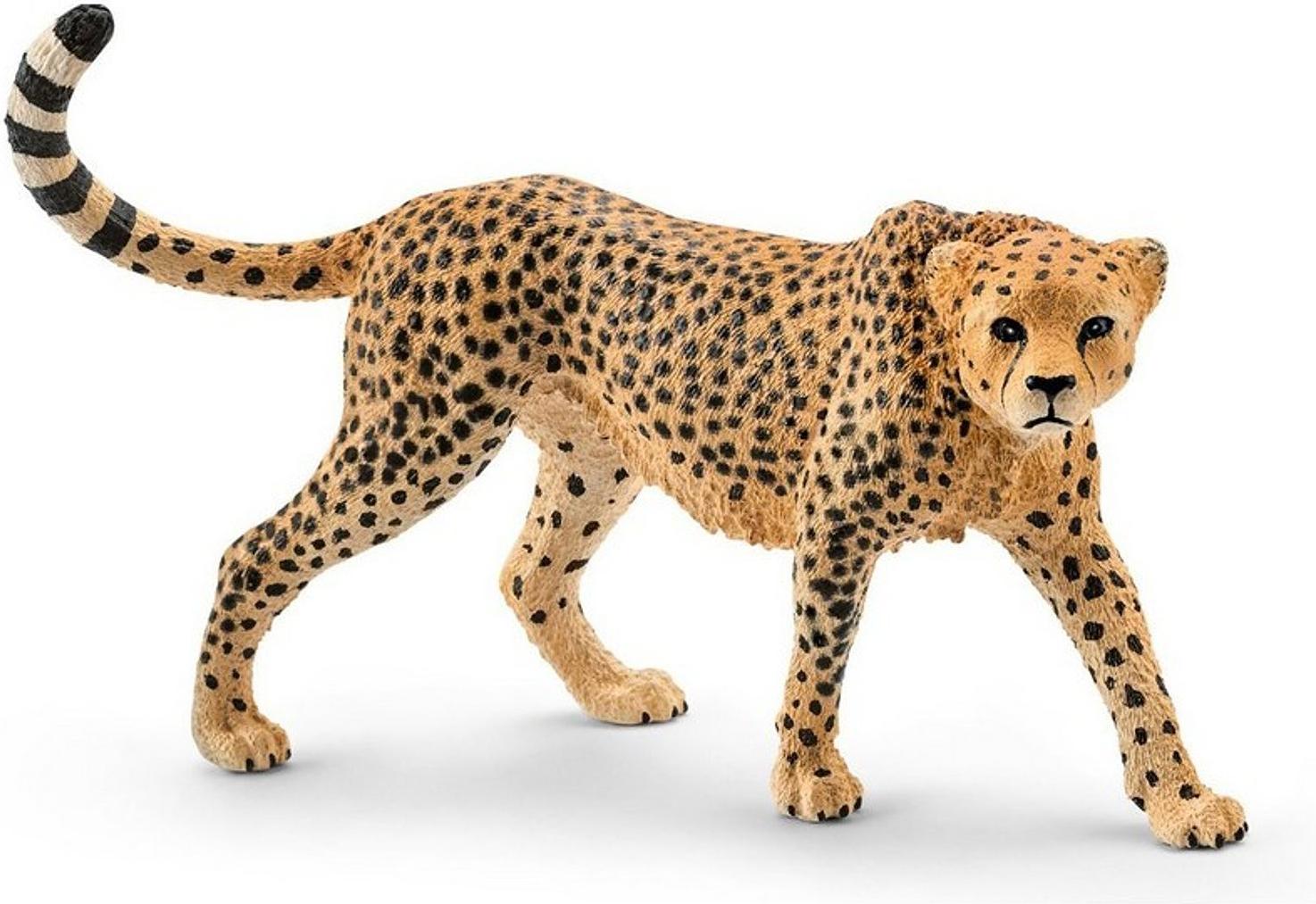 

Игрушка Schleich Гепард самка [14746], Гепард самка
