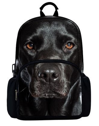 

Рюкзак Hatber HD Labrador [NR_00052], HD Labrador