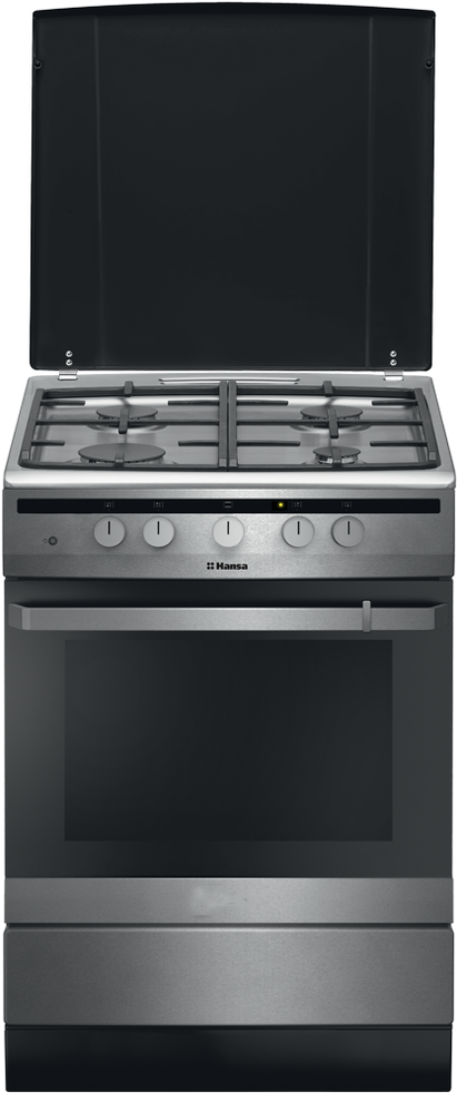 

Кухонная плита Hansa FCGX62020