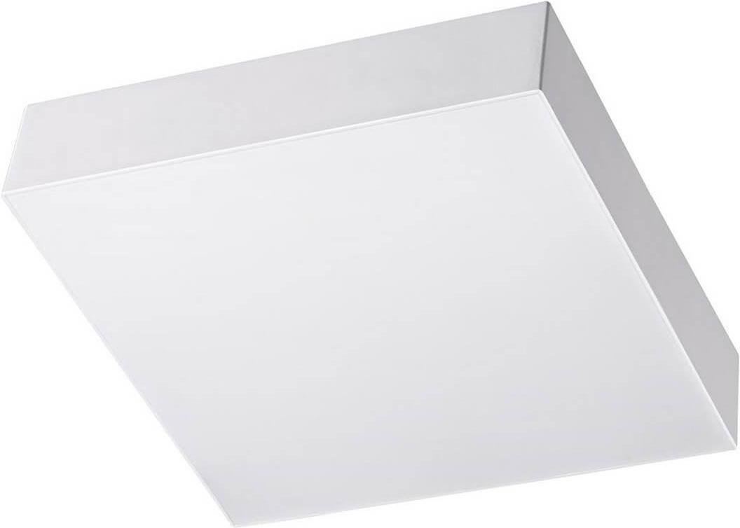 

Потолочный светильник Novotech 358111 NT19 000 белый Накладной светильник IP20 LED 4000K 16W 85-265V ORNATE, Накладной светильник Novotech 358111 NT19 000 белый Накладной светильник IP20 LED 4000K 16W 85-265V ORNATE