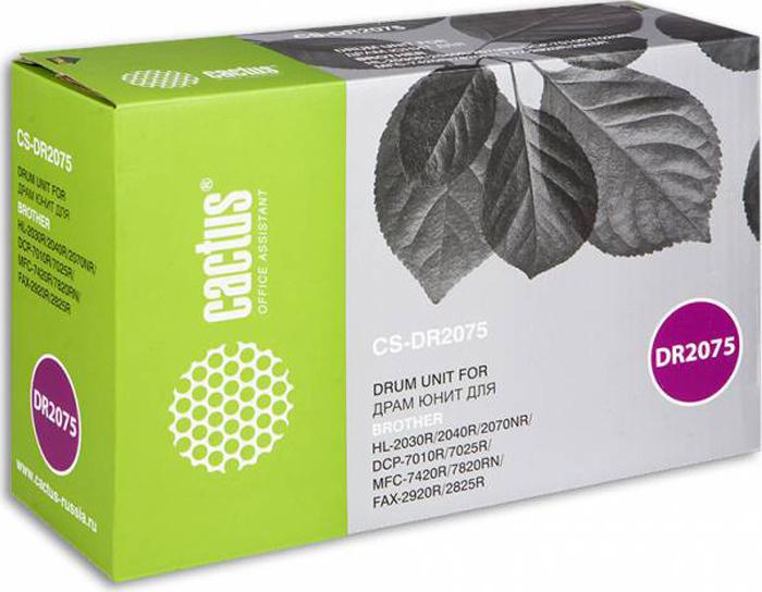 

Картридж для принтера CACTUS CS-DR2075, CS-DR2075