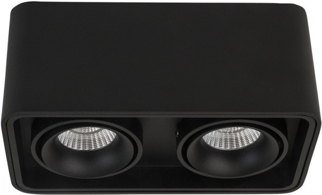 

Накладной светильник LeDron TUBING 2 Black, Накладной точечный светильник LeDron TUBING 2 Black