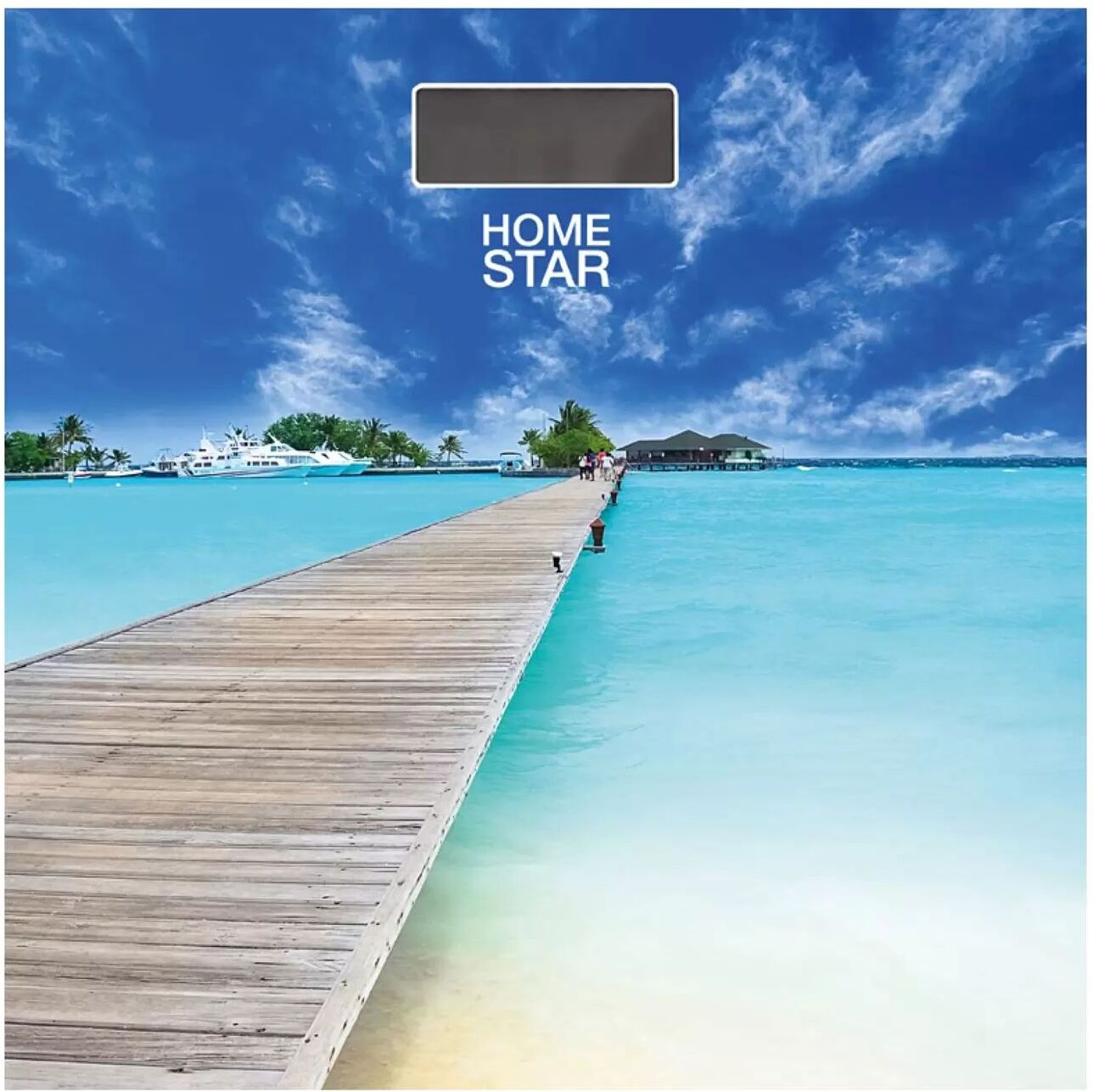 

Напольные весы HomeStar HS-6001R