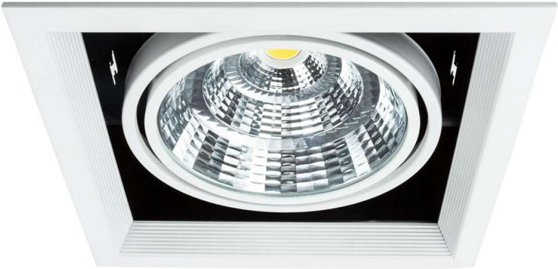 

Встраиваемый точечный светильник Arte Lamp A8450PL-1WH