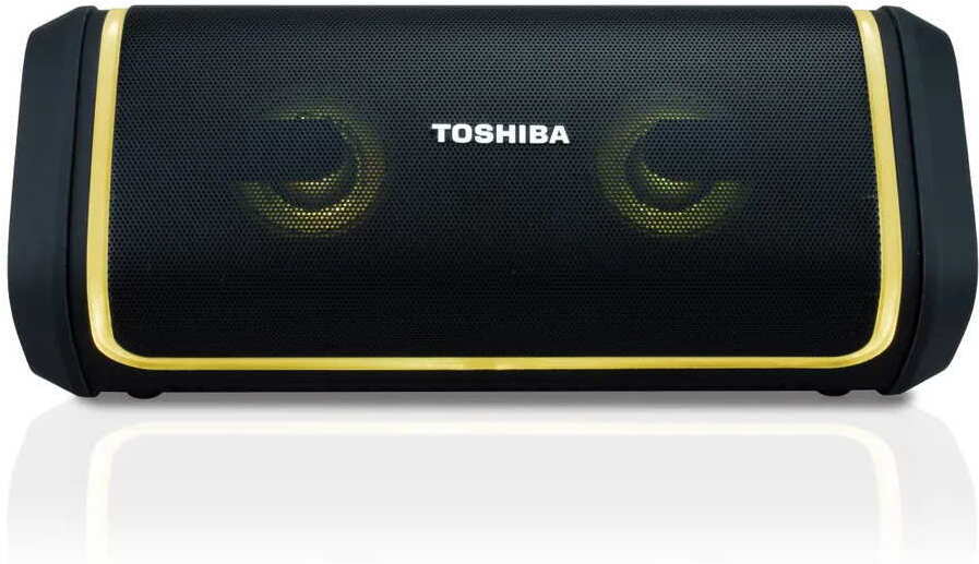 

Портативная акустика Toshiba TY-WSP150