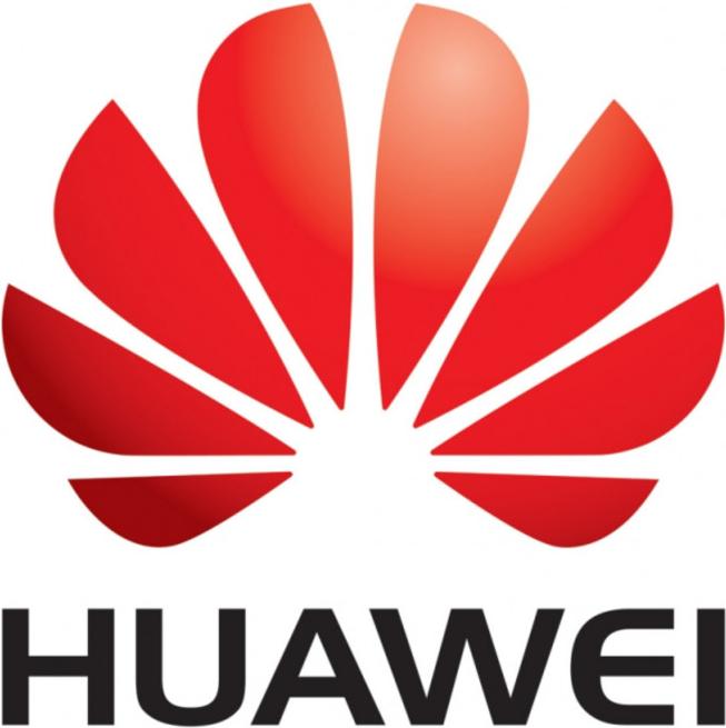 

Кабель Huawei C1M25GBK1M [04051352], C1M25GBK1M