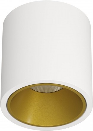 

Влагозащищенный точечный светильник LeDron Rinbok WHITE/GOLD