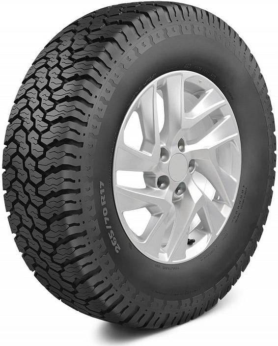 

Автомобильные шины Kormoran ROAD-TERRAIN 205/80R16 104T XL (232332)