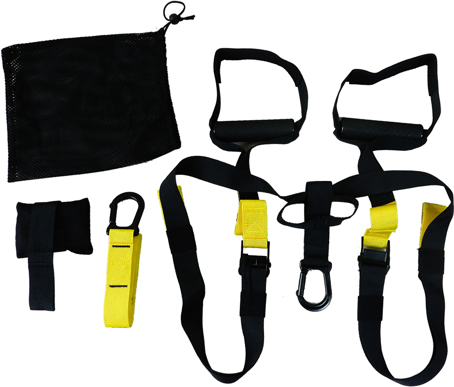 

Петли TRX LQ-2 Standart