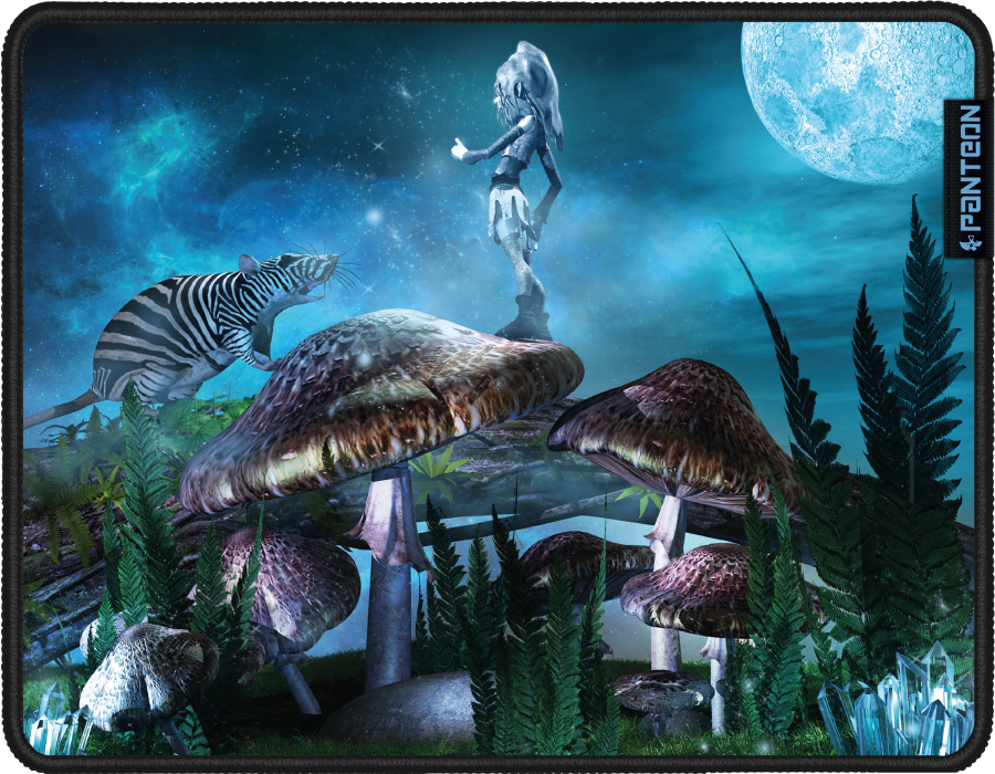 

Коврик для мыши Jet.A Panteon FAIRY PLANET [GP-95SS], Коврик для мыши Jet.A Panteon Speed Control Fairy Planet (GP-95SS)
