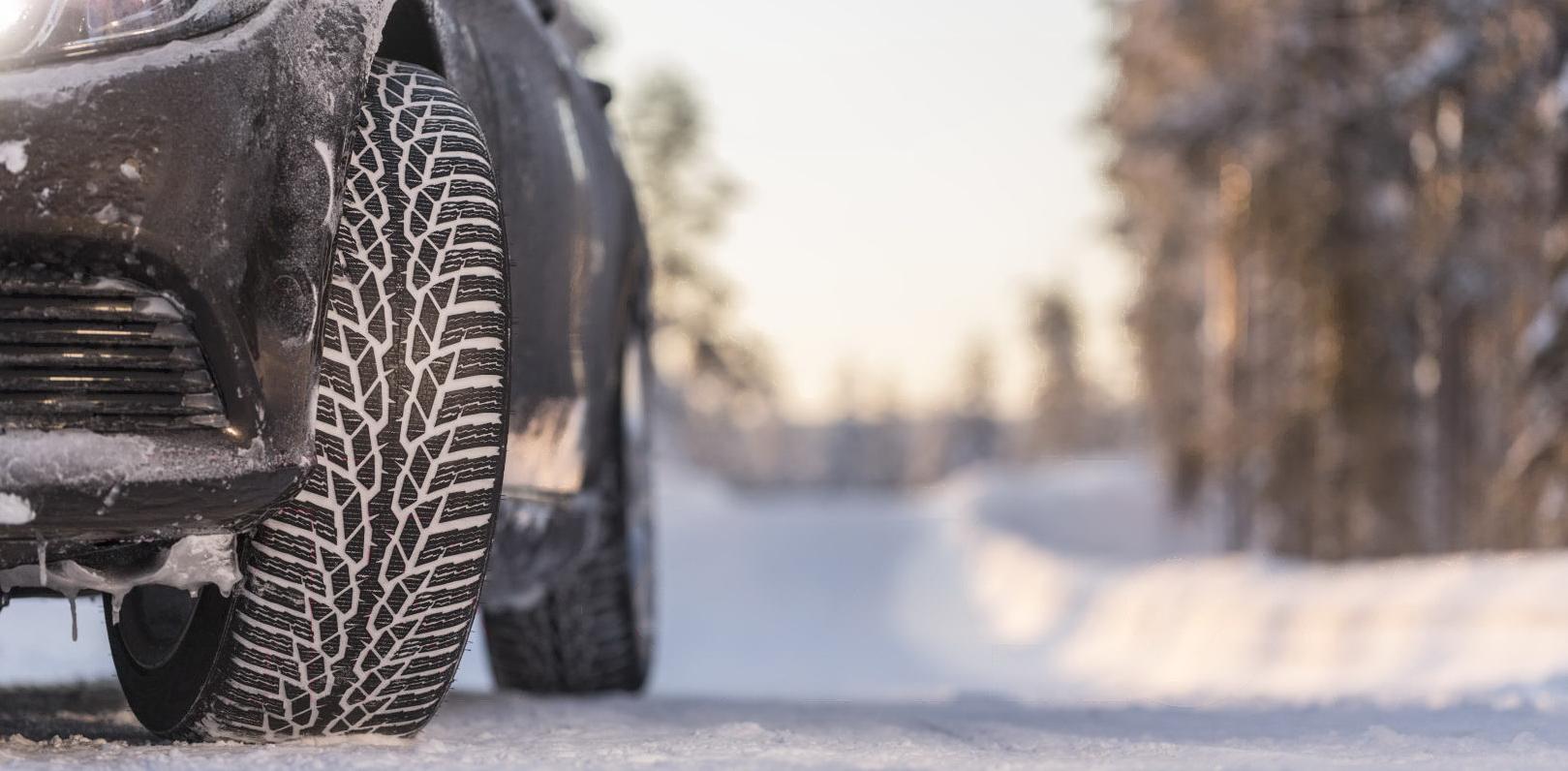 

Шины Nokian WR D4 165/70R14 81T, Автомобильные шины Nokian WR D4 165/70R14 81T
