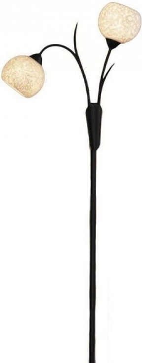 

Торшер Lussole LSF-6295-02