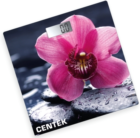 

Напольные весы CENTEK CT-2421 (цветы)