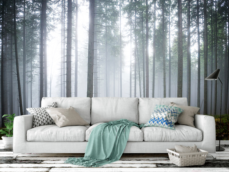 

Фотообои Citydecor Лес в тумане 2 400x254