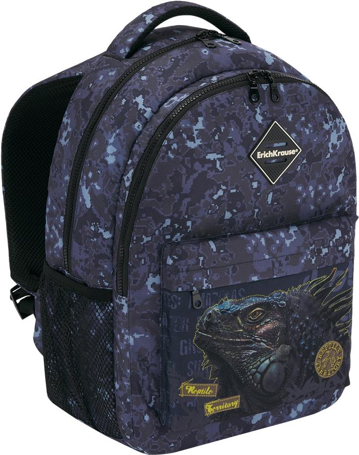 

Школьный рюкзак Erich Krause EasyLine 20L Iguana [48608], EasyLine 20L Iguana