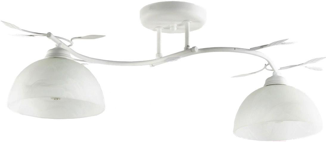 

Потолочный светильник Lampex Viola 2B 648/2B BIA, Viola 2B 648/2B BIA