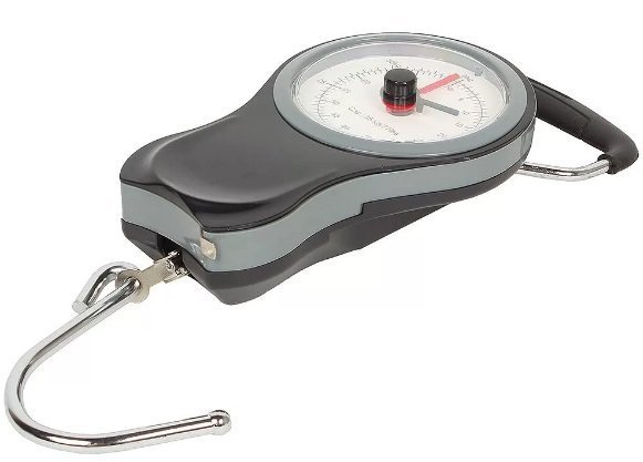 Endever LS-562 - фото Кухонные весы Endever LS-562