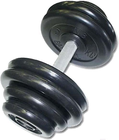 

Гантель цельная MB Barbell Профи 38.5 кг черный, Профи 38.5 кг