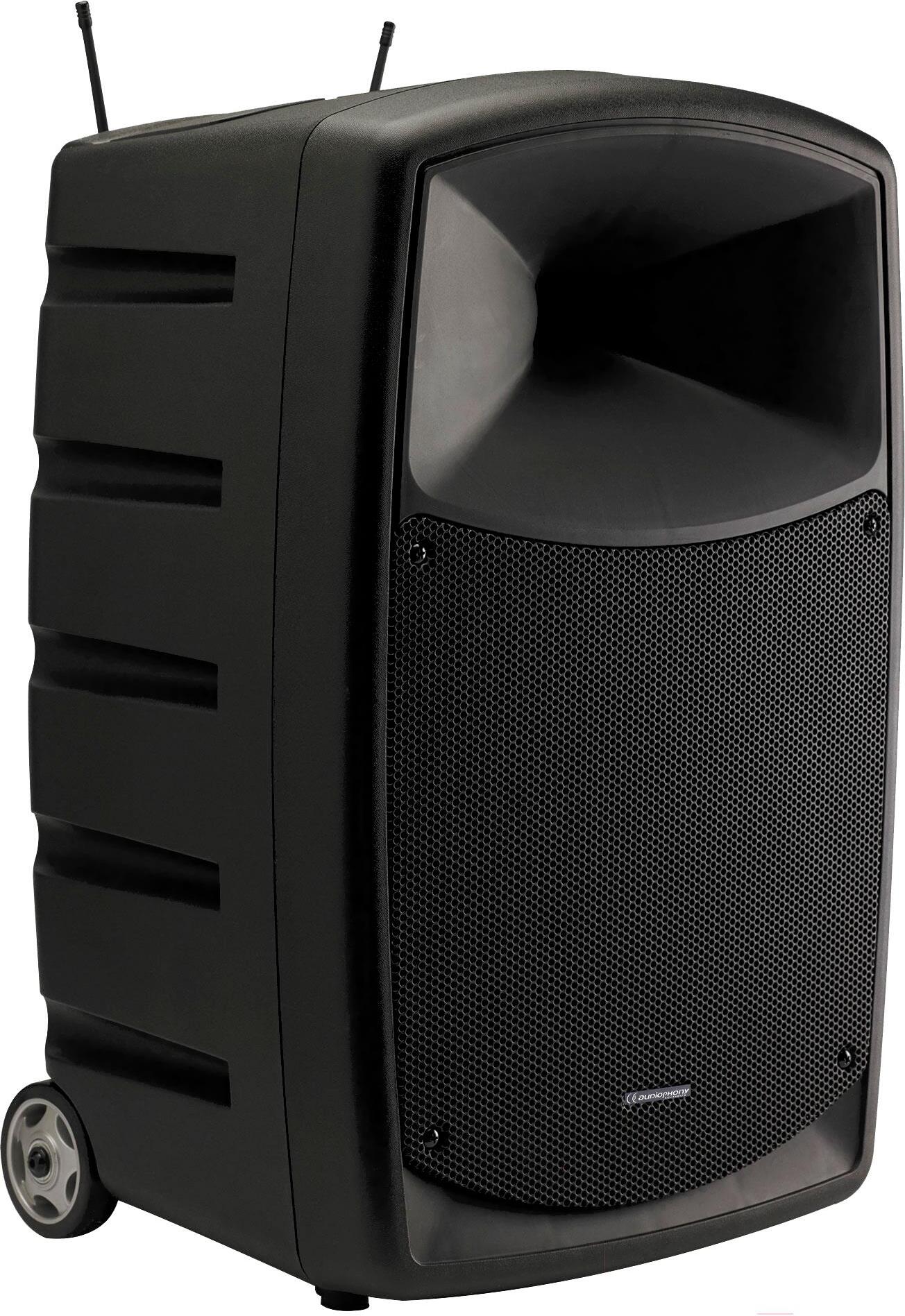 

Акустическая система Audiophony CR12A-COMBO