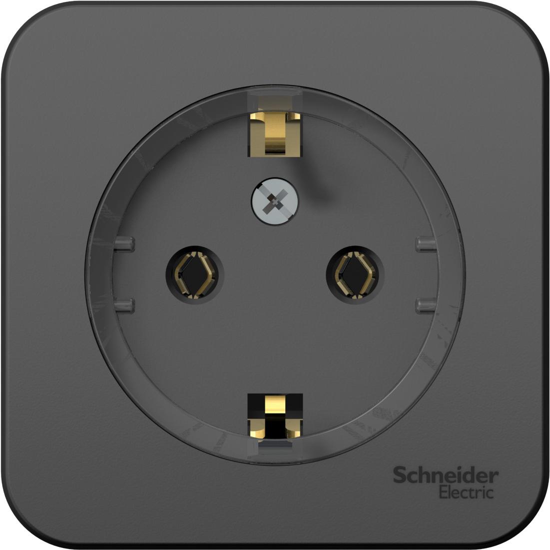 

Розетка Schneider Electric Blanca антрацит [BLNRA110116], Blanca