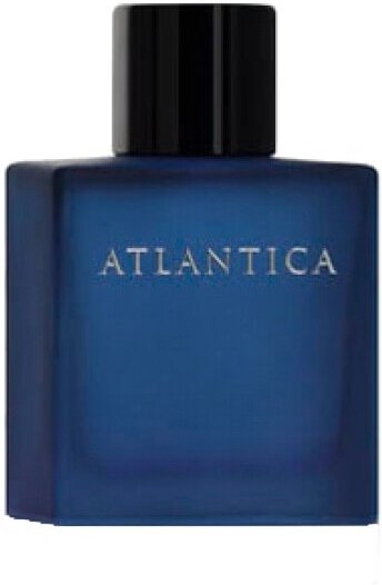 

Туалетная вода Dilis Parfum Atlantica Odyssey 100мл