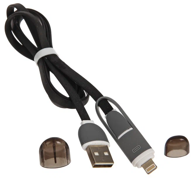 

Кабель (адаптер, разветвитель) Ritmix RCC-200 2в1 MicroUSB+Lightning 8pin-USB 1м Black, RCC-200 2в1 MicroUSB+Lightning 8pin-USB 1м