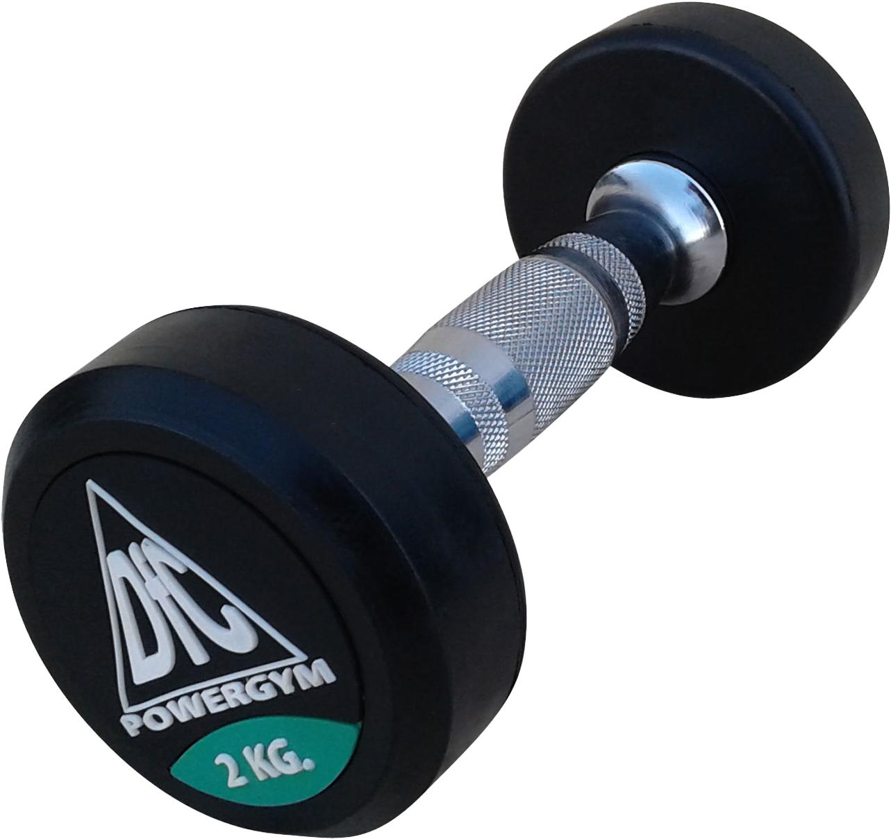 

Набор гантелей DFC POWERGYM 2 кг пара [DB002-2], POWERGYM пара 2кг