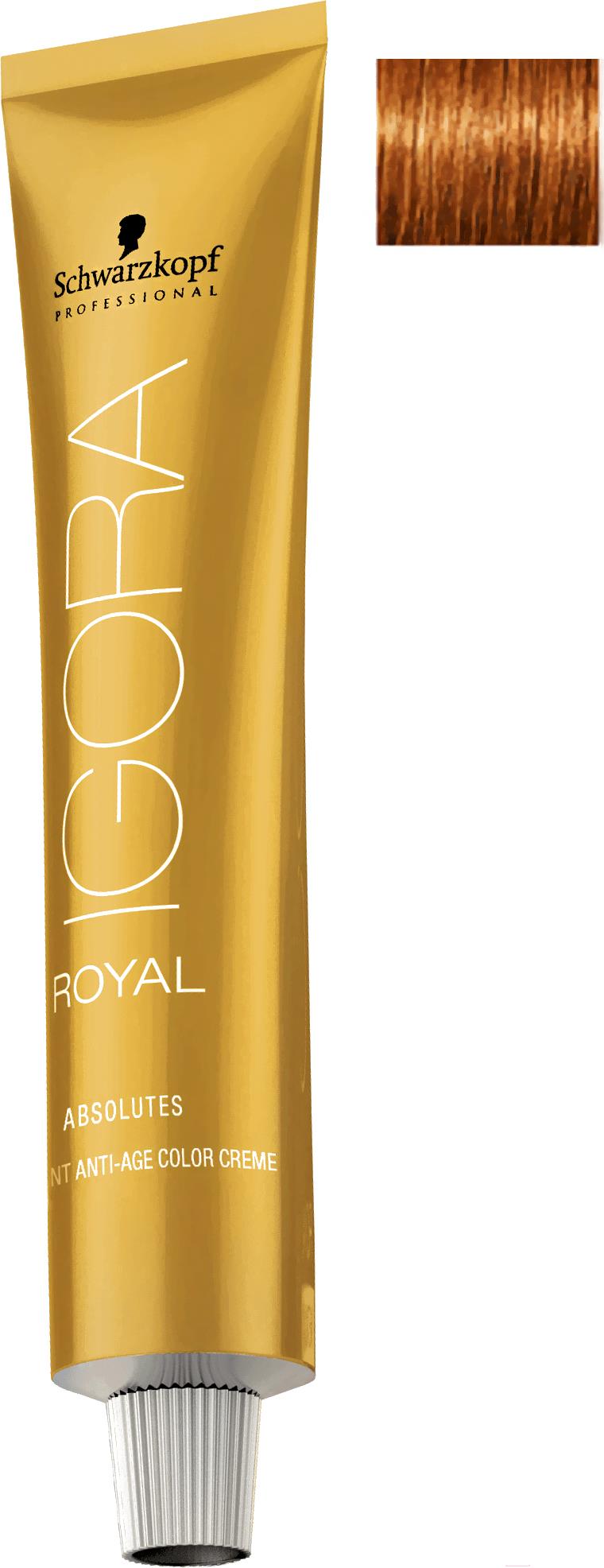 

Краска для волос Schwarzkopf Professional Igora Royal Absolutes 7-70 60мл, Igora Royal Absolutes 7-70 60мл