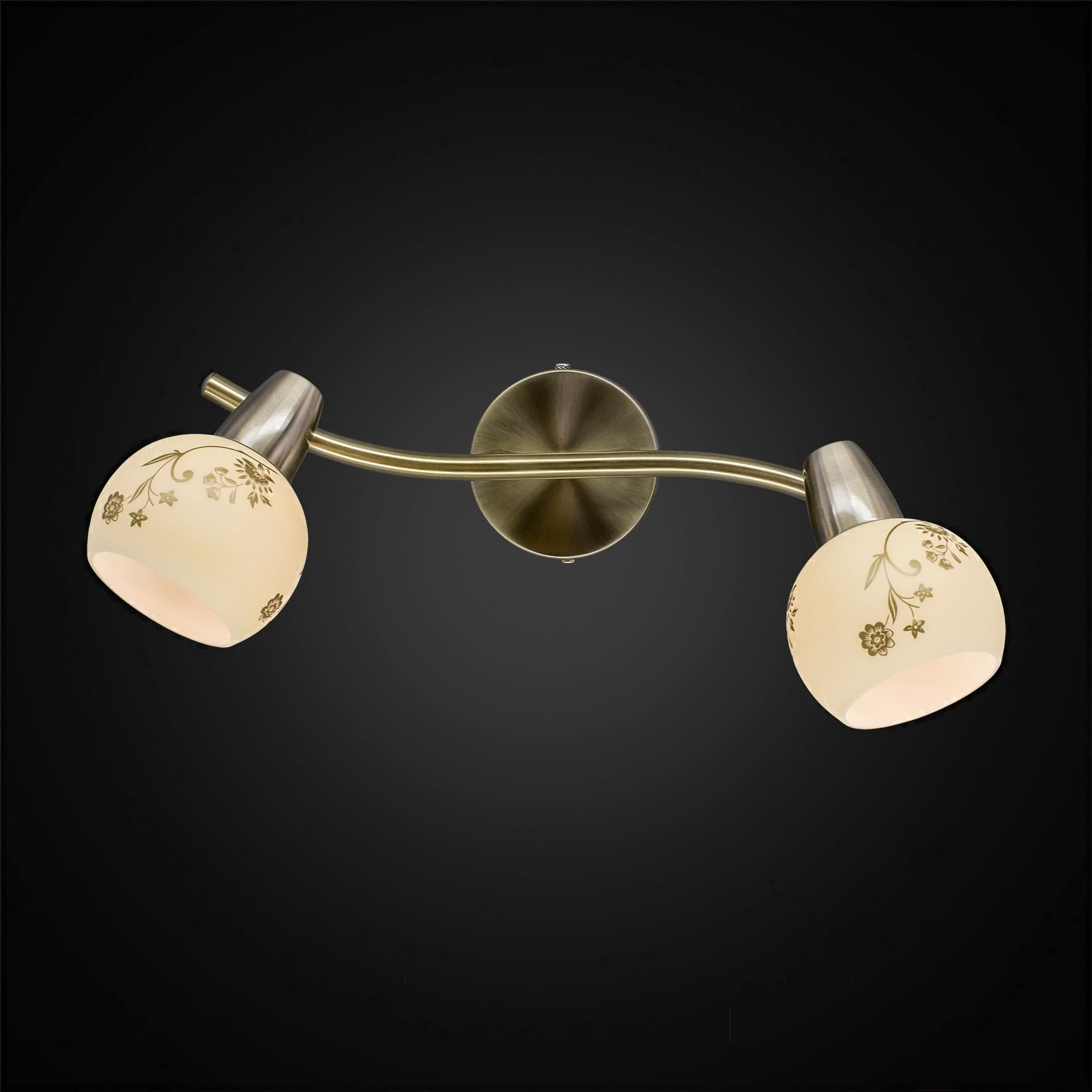 

Спот Citilux CL520523
