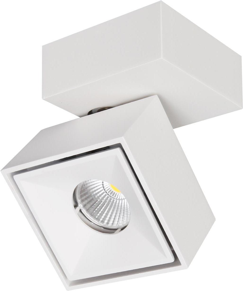 

Спот Citilux CL558020N