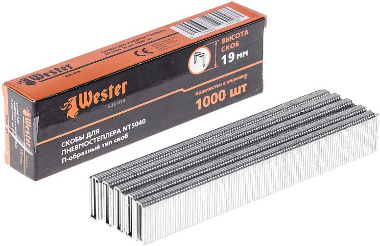 

Скобы для степлера Wester 826-018, 826-018 для NT5040 19мм 1000шт