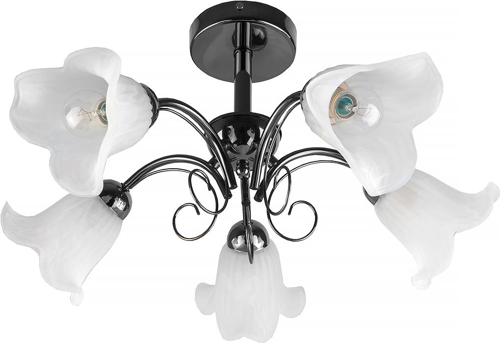 

TOPLIGHT Люстра потолочная [TL3490X-05BC], Люстра потолочная