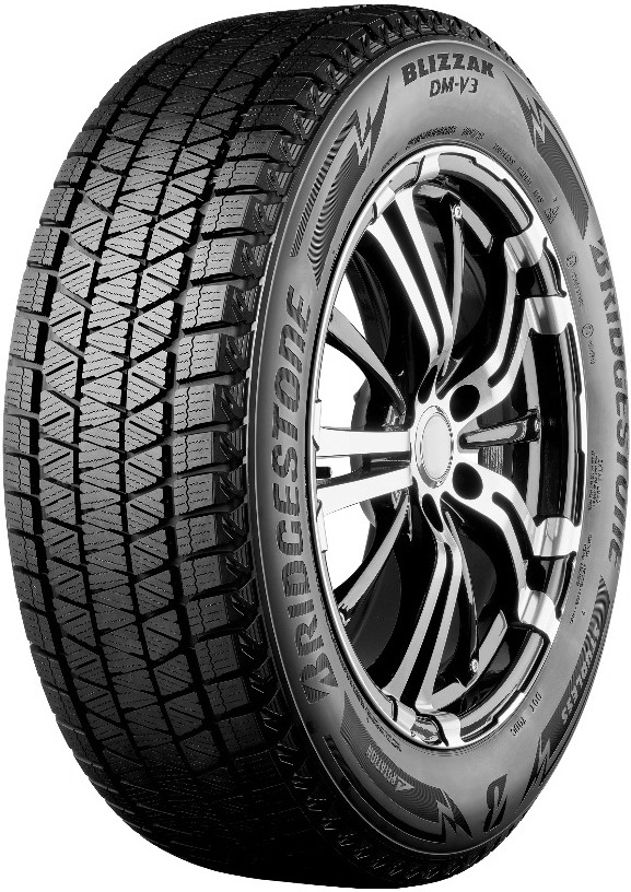 

Автомобильные шины Bridgestone Blizzak DM-V3 245/65R17 107S (18952)