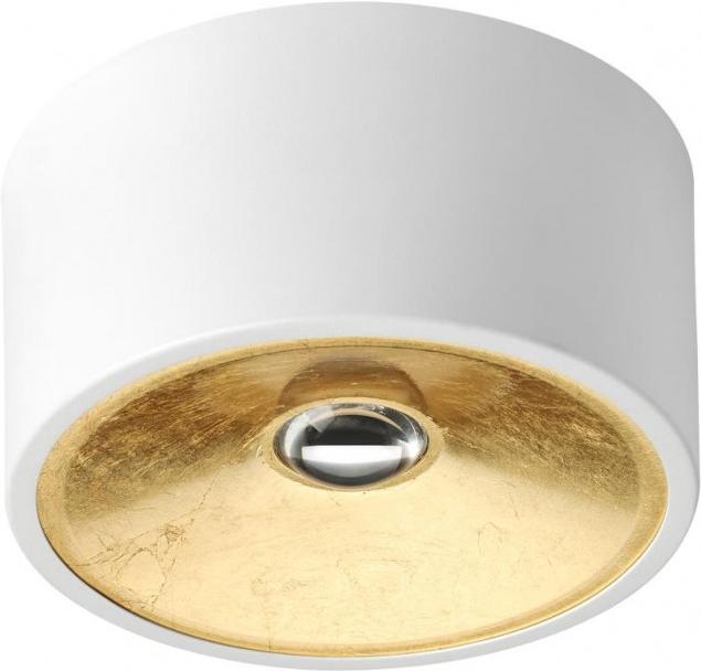 

Накладной светильник Odeon Light 3892/1C