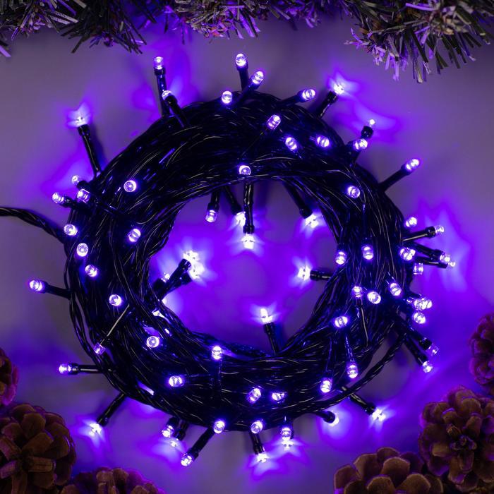 

Новогодняя гирлянда Luazon Нить 100 LED 10м фиолетовый [3556791], Нить 100 LED 10м