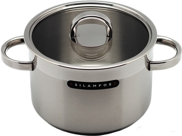 

Кастрюля Silampos Атлантико [632125V56620], Кастрюля Silampos Атлантико 632125V56620