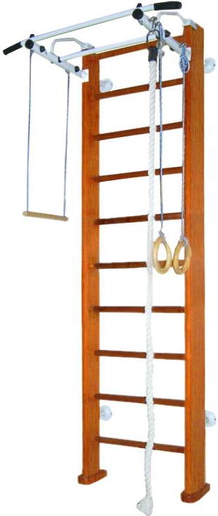 

Детский спортивный комплекс Карусель 2Д.03.03 к стене орех, 2Д.03.03 к стене