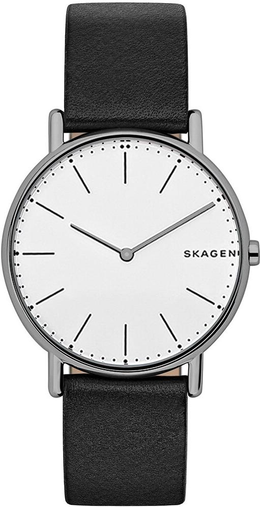 

Наручные часы Skagen мужские SKW6419