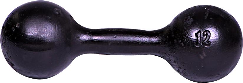

Гантель цельная MB Barbell литая 12 кг [СГ000000112], литая 12,0 кг