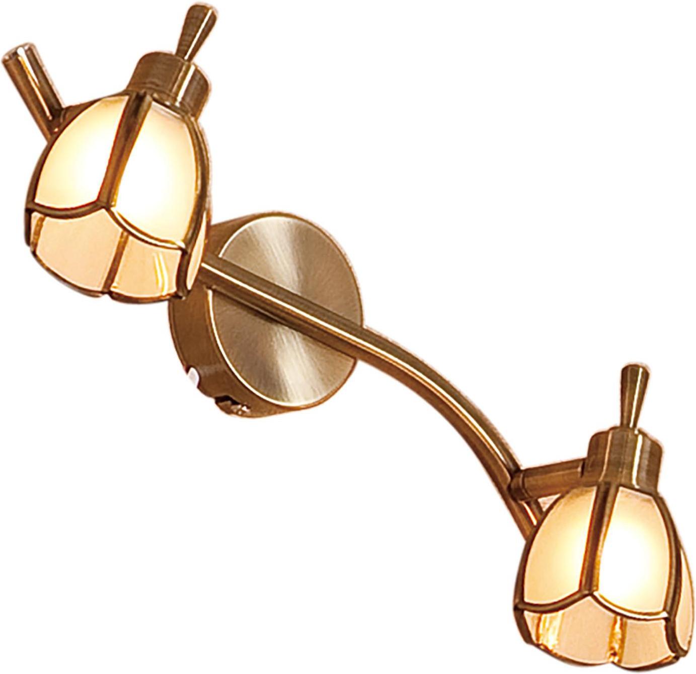 

Спот Citilux CL522521