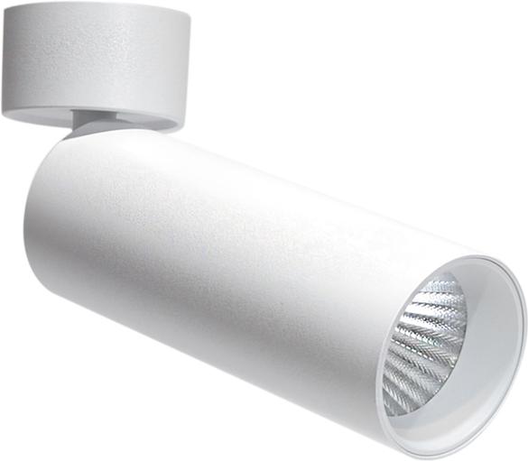 

Спот Donolux DL18895R10W1W ST