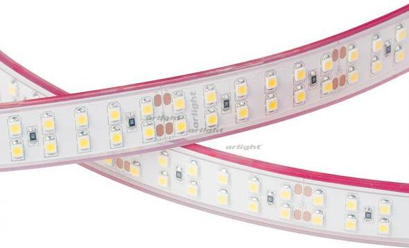 

Arlight Лента RTW 2-5000P 24V White6000 2x2 (3528, 1200 LED, LUX) [014958], Лента RTW 2-5000P 24V White6000 2x2 (3528, 1200 LED, LUX)